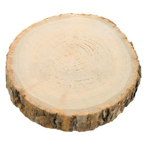 Chaks Decoratie boomschijf met schors - hout - D17 x H2 cm - rondÃÂ