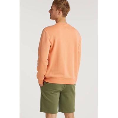 GAP regular fit sweatshort desert cactus