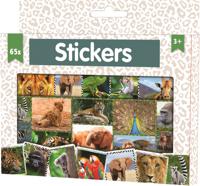 W&O stickerdoos junior 16 x 11,5 cm papier beige/wit 65 stuks