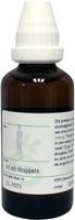 VSM Echinacea purpurea oer (50 ml)