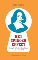 Het Spinoza-effect - Eric Rassin - ebook