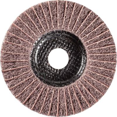 PFERD 44692266 Polinox vliesslijpschijf PNZ Ø 125 mm asgat-Ø 22,23 mm A 100 voor fijnslijpen & finish 125 mm 5 stuk(s)