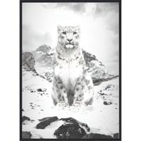 Poster - B&W White Lynx / Plat verpakt - thumbnail