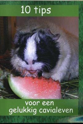 10 Tips Voor Een Gelukkig Cavialeven - Paperback (9789490902148)