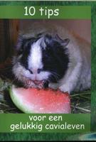 10 Tips Voor Een Gelukkig Cavialeven - Paperback (9789490902148)