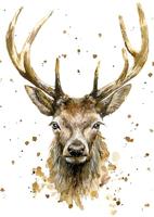 Bree Merryn Stag Lined Notebook: Plastic Free Packaging