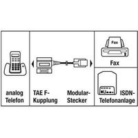 Hama Telefoon (analoog) Adapter [1x RJ11-stekker 6p4c - 1x Telefoonkoppeling Duitsland (TAE-F)] 20.00 cm Zwart - thumbnail