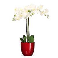 Orchidee kunstplant wit - 75 cm - inclusief bloempot rood glans - thumbnail