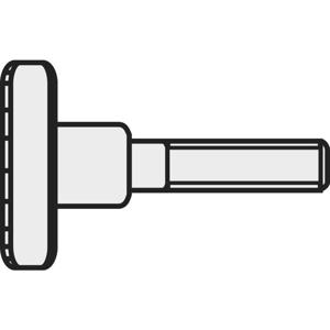 TOOLCRAFT M5*12 D464-5.8:A2K 194767 Kartelbouten M5 12 mm DIN 464 Staal Galvanisch verzinkt 10 stuk(s)