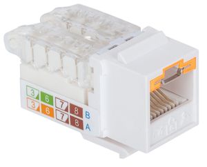 Intellinet abschließbare Cat6 Modularbuchse UTP Keystone werkzeuglos weiß RJ45-inbouwmodule Keystone CAT 3, CAT 4, CAT 5, CAT 5e, CAT 6