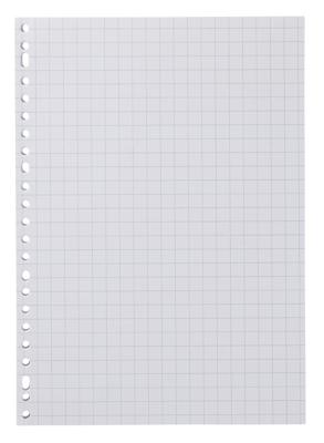 HEMA 100-pak Ringbandpapier Geruit 10 X 10 Cm HEMA 100-pak Ringbandpapier Geruit 10 X 10 Cm