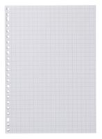 HEMA 100-pak Ringbandpapier Geruit 10 X 10 Cm