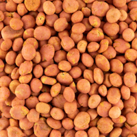 Peanut crackers spicy 250 gram - thumbnail