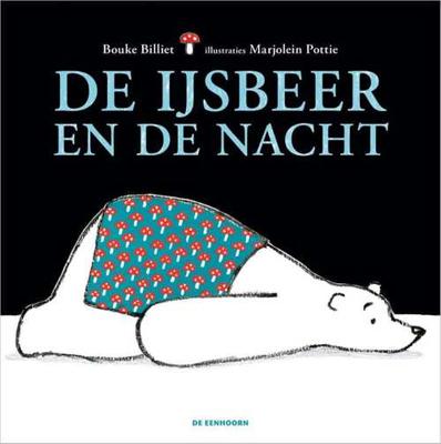De ijsbeer en de nacht - Bouke Billiet - Hardcover (9789462913431)