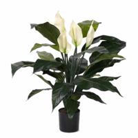 Bellatio flowers &amp; plants Kunstplant Lepelplant - groen - 75 cm   - - thumbnail