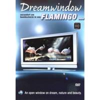 Dream Window - Flamingo's (DVD)