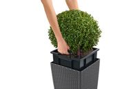 LECHUZA CUBE Cottage 30 All-in-One Set Binnen/buiten Plantenpot Vrijstaand Polypropyleen (PP) Grijs - thumbnail