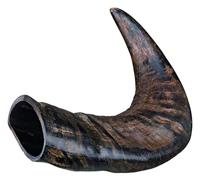 TX-27742 Buffalo Chewing Horn medium