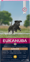 Eukanuba Dog - Junior Large - 12kg