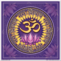 Raamsticker Vierkant Aum Namah Shivaya