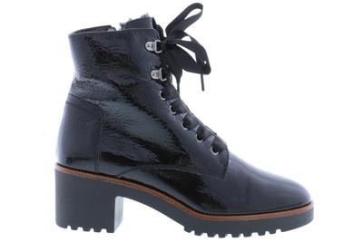 DL Sport 4913 sweden nero Zwart 