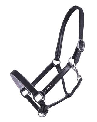 QHP Veulenhalster leer Parla