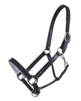 QHP Veulenhalster leer Parla