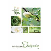 Wenskaarten Met Oprechte Deelneming Pakje A 10 Stuks Met Envelop