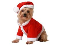 ATOSA - Kerstmankostuum voor huisdieren, maat M, kerstmankostuum voor honden en katten, comfortabel, feestelijk en wasbaar, ideaal voor feestjes en kerstfoto's
