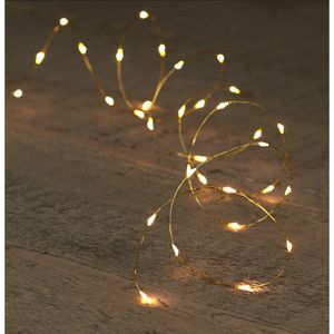 Draadverlichting - goud- 10 led lampjes - warm wit - batterij - 100 cm