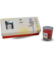 Green Tree Green Tree Giftset Geurkaars Yoga (1set)