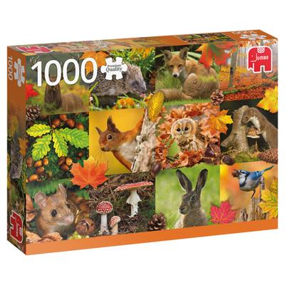 Jumbo legpuzzel Herfst 1000 stukjes