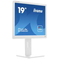 Iiyama ProLite LED-monitor Energielabel E (A - G) 48.3 cm (19 inch) 1280 x 1024 Pixel 5:4 5 ms VGA, DVI TN LED