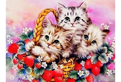 Diamond painting set in de aanbieding Diamond painting set in de aanbieding