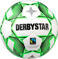 Derbystar Voetbal Omega APS wit groen 1106