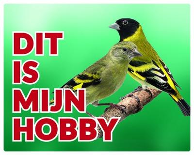 Zwartkopsijs Waakbord - Dit is mijn Hobby Koppel