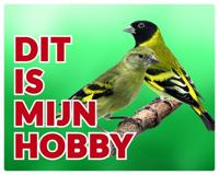 Zwartkopsijs Waakbord - Dit is mijn Hobby Koppel