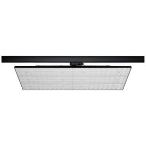 Paulmann PAULMANN 96582 LED-railspot ProRail3 75 W LED Zwart