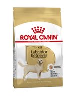 Royal canin Canin Canin labrador retriever adult