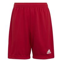 adidas Uniseks-Kind Entrada 22 Shorts, Team Power Red 2, 5-6 Years