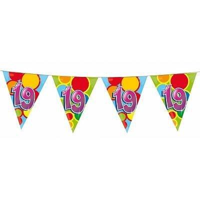 Vlaggenlijn slinger 19 jaar gekleurd