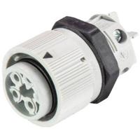 Wieland Electric 46.051.5054.0 Ronde connector Bus, inbouw Totaal aantal polen: 3 + PE Serie (ronde connectoren): RST® MINI 1 stuk(s)