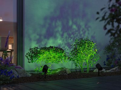 Paulmann PAULMANN 94849 Verlichtingssysteem Plug&Shine LED-tuinspot LED 6.5 W RGBW Antraciet