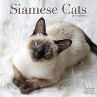 Cats - Siamese Calendar 2026 Square Cat Wall Calendar - 16 Month