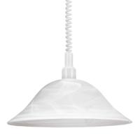 Eglo Hanglamp Alessandra glas 3355