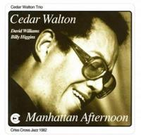 Manhattan Afternoon - CD (8712474108220)