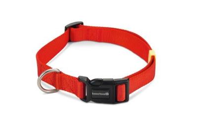 Beeztees uni - halsband hond - rood - 48-70 cm x 25 mm Beeztees uni - halsband hond - rood - 48-70 cm x 25 mm