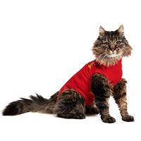 Medical Pet Shirt, Katten, Klein, Rood