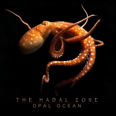 The Hadal Zone - CD (4250727801251)