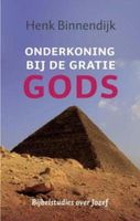 Onderkoning bij de gratie Gods - Henk Binnendijk - ebook - thumbnail